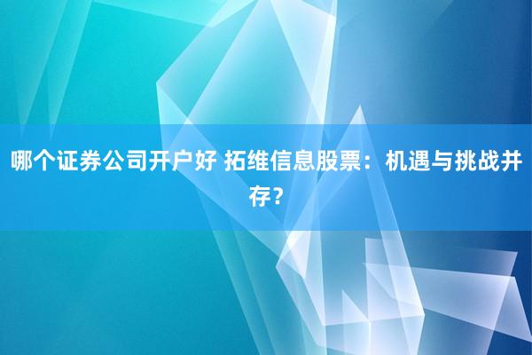哪个证券公司开户好 拓维信息股票：机遇与挑战并存？