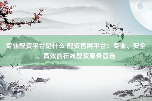专业配资平台是什么 配资官网平台：专业、安全、高效的在线配资服务首选