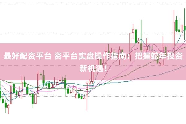 最好配资平台 资平台实盘操作指南：把握蛇年投资新机遇！