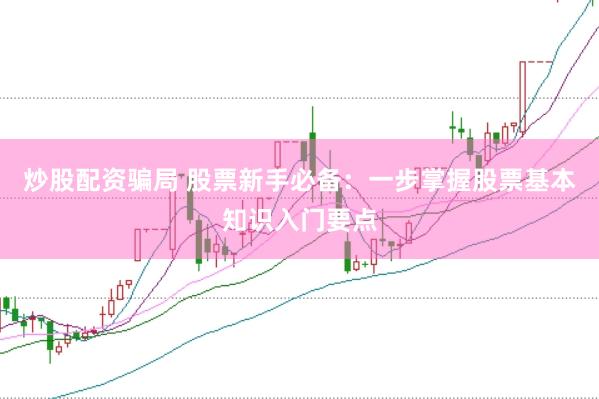 炒股配资骗局 股票新手必备：一步掌握股票基本知识入门要点
