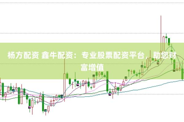 杨方配资 鑫牛配资：专业股票配资平台，助您财富增值