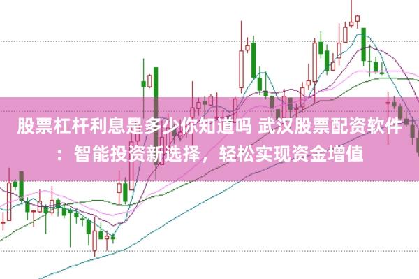 股票杠杆利息是多少你知道吗 武汉股票配资软件：智能投资新选择，轻松实现资金增值