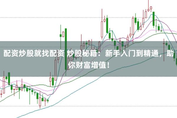 配资炒股就找配资 炒股秘籍：新手入门到精通，助你财富增值！
