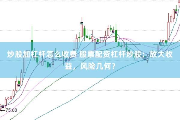 炒股加杠杆怎么收费 股票配资杠杆炒股：放大收益，风险几何？