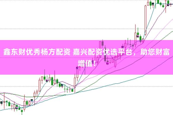 鑫东财优秀杨方配资 嘉兴配资优选平台，助您财富增值！
