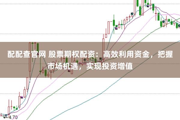 配配查官网 股票期权配资：高效利用资金，把握市场机遇，实现投资增值