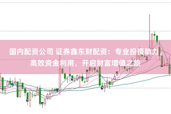 国内配资公司 证券鑫东财配资：专业投资助力，高效资金利用，开启财富增值之旅