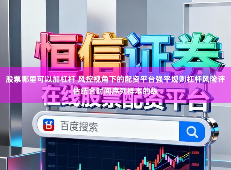 股票哪里可以加杠杆 风控视角下的配资平台强平规则杠杆风险评估结合时间序列样本的纵