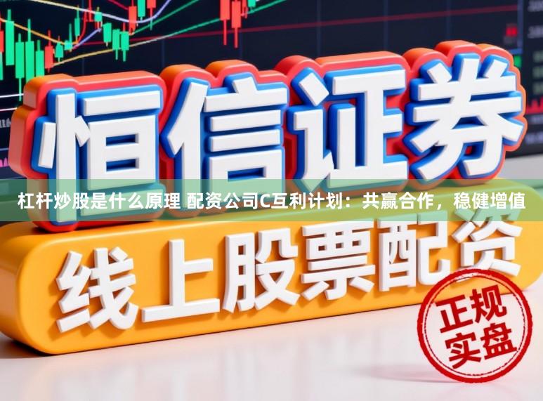 杠杆炒股是什么原理 配资公司C互利计划：共赢合作，稳健增值